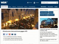 Bild zum Artikel: Münsteraner demonstrieren gegen AfD
