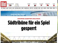 Bild zum Artikel: BVB akzeptiert DFB-Strafe - Südtribüne für ein Spiel gesperrt