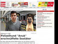 Bild zum Artikel: Polizeihund 'Anuk' erschnüffelte Sextäter (17)