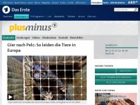 Bild zum Artikel: Gier nach Pelz: So leiden die Tiere in Europa