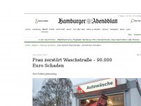 Bild zum Artikel: Hollenstedt: Frau zerstört Waschstraße – 90.000 Euro Schaden