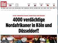 Bild zum Artikel: Köln und Düsseldorf - 4000 verdächtige Nordafrikaner in NRW!