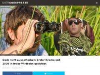 Bild zum Artikel: Doch nicht ausgestorben: Erster Krocha seit 2009 in freier Wildbahn gesichtet