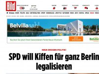 Bild zum Artikel: Neue Drogen-Politik! - SPD will Kiffen für ganz Berlin legalisieren