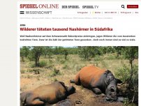 Bild zum Artikel: 2016: Wilderer töteten tausend Nashörner in Südafrika
