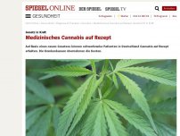 Bild zum Artikel: Gesetz in Kraft: Medizinisches Cannabis auf Rezept