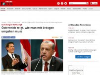 Bild zum Artikel: Ausladung im Wahlkampf - Österreich zeigt, wie man mit Erdogan umgehen muss