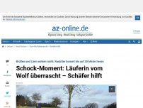 Bild zum Artikel: Schock-Moment: Joggerin vom Wolf überrascht – Schäfer hilft