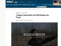 Bild zum Artikel: Situation an EU-Außengrenze: Flüchtlinge klagen über Ungarn - 'Behandeln uns wie Tiere'