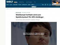 Bild zum Artikel: Schleswig-Holstein: Wahlkampf-Auftakt wird zum Spießrutenlauf für AfD-Anhänger