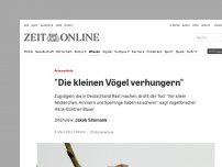 Bild zum Artikel: Artenschutz: 'Die kleinen Vögel verhungern'