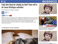 Bild zum Artikel: Folgt dein Hund dir ständig ins Bad? Dann will er dir etwas Wichtiges mitteilen!