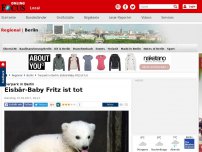 Bild zum Artikel: Tierpark in Berlin - Eisbär-Baby Fritz ist tot