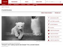 Bild zum Artikel: Eisbär Fritz ist gestorben
