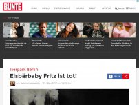 Bild zum Artikel: Tierpark Berlin: Eisbärbaby Fritz ist tot!