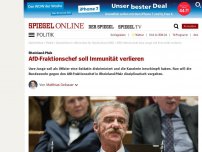 Bild zum Artikel: Rheinland-Pfalz: AfD-Fraktionschef soll Immunität verlieren