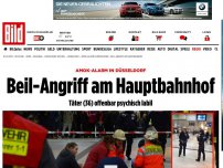 Bild zum Artikel: Amok-Alarm in Düsseldorf - Axt-Angriff am Hauptbahnhof