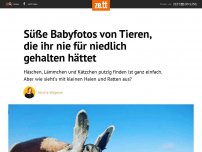 Bild zum Artikel: Süße Babyfotos von Tieren, die ihr nicht für niedlich haltet