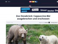 Bild zum Artikel: Zoo Osnabrück: Cappuccino-Bär ausgebrochen und erschossen