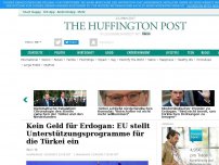 Bild zum Artikel: Kein Geld für Erdogan: EU stellt Unterstützungsprogramme für die Türkei ein