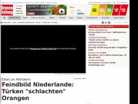 Bild zum Artikel: Feindbild Niederlande: Türken 'schlachten' Orangen