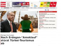 Bild zum Artikel: Nach Erdogans Amoklauf stürzt Türkei-Tourismus ab