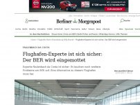Bild zum Artikel: Faulenbach da Costa : Flughafen-Experte ist sich sicher: Der BER wird eingemottet