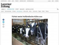 Bild zum Artikel: Türkei weist holländische Kühe aus