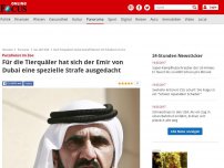 Bild zum Artikel: Putzdienst im Zoo - Für die Tierquäler hat sich der Emir von Dubai eine spezielle Strafe ausgedacht