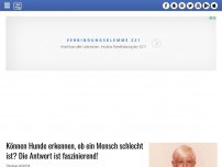 Bild zum Artikel: Können Hunde erkennen, ob ein Mensch schlecht ist? Die Antwort ist faszinierend!