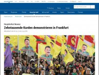 Bild zum Artikel: Tausende Kurden demonstrieren in Frankfurt