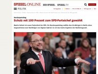 Bild zum Artikel: Sonderparteitag: Schulz mit 100 Prozent zum SPD-Parteichef gewählt