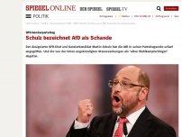 Bild zum Artikel: SPD-Sonderparteitag: Schulz bezeichnet AfD als Schande