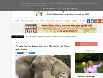 Bild zum Artikel: Zu viele Falten: Kölner Zoo lässt Elefanten mit Botox behandeln