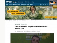 Bild zum Artikel: Saarland-Wahl: Die Grünen sind eingeschrumpelt auf den harten Kern