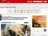 Bild zum Artikel: Polizeieinsatz in Halle/Saale - Betrunkener misshandelt eigenen Schäferhund in Straßenbahn