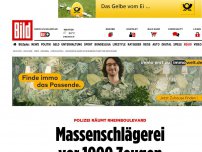 Bild zum Artikel: Rheinboulevard geräumt - Massenschlägerei vor 1000 Zeugen