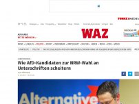 Bild zum Artikel: Landtagswahl: Wie AfD-Kandidaten zur NRW-Wahl an Unterschriften scheitern