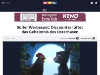 Bild zum Artikel: Süßer Werbespot: Discounter lüftet das Geheimnis des Osterhasen