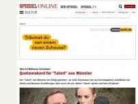 Bild zum Artikel: Über 14 Millionen Zuschauer: Quotenrekord für 'Tatort' aus Münster