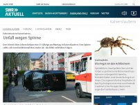 Bild zum Artikel: Polizeieinsatz in Kaiserslautern: Unfall wegen Spinne