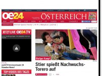 Bild zum Artikel: Stier spießt Nachwuchs-Torero auf