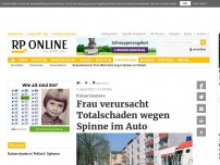 Bild zum Artikel: Kaiserslautern - Frau verursacht Totalschaden wegen Spinne im Auto