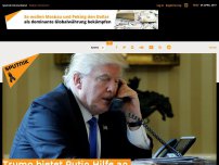 Bild zum Artikel: Trump bietet Putin Hilfe an