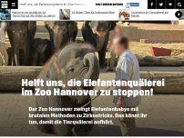 Bild zum Artikel: Helft uns, die Elefantenquälerei im Zoo Hannover zu stoppen!