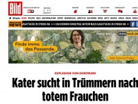 Bild zum Artikel: Explosion von Dortmund - Kater sucht in Trümmern nach totem Frauchen