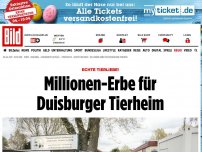 Bild zum Artikel: Echte Tierliebe! - Millionen-Erbe für Duisburger Tierheim