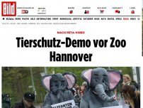Bild zum Artikel: Nach Peta-Video - Tierschutz-Demo vor Zoo Hannover