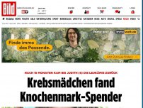 Bild zum Artikel: Leukämie kam zurück - Krebsmädchen fand Knochenmark-Spender