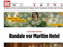 Bild zum Artikel: 12 000 Euro Schaden - Randale vor Maritim Hotel